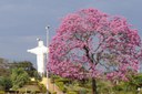 Carneirinho, comemora 19 anos de emancipação.