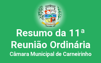 Resumo da 11ª reunião ordinária de 2015