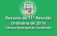 Resumo da 11ª reunião ordinária de 2016