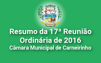 Resumo da 17ª reunião ordinária de 2016